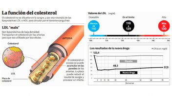 Colesterol: Con una nueva droga podrán tratar a todos los pacientes