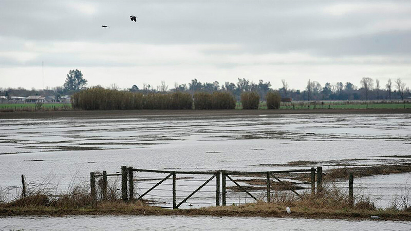 Campos inundados.