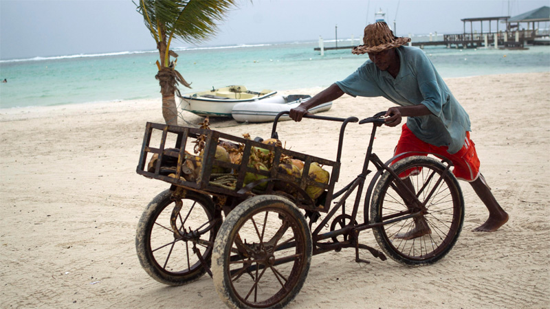 Vendedor de cocos camina en la playa en Boca Chica- Republica Dominicana