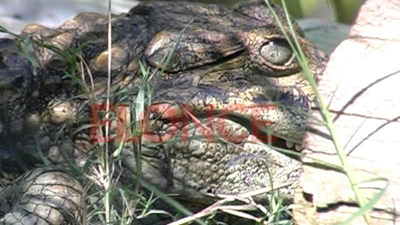 Proyecto Yacar&eacute;