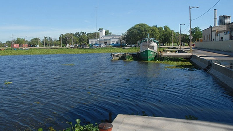 Camalotes que fueron "recost&aacute;ndose" sobre la costanera