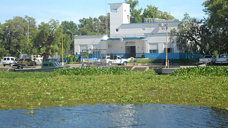 Avance de los camalotes frente al balneario municipal