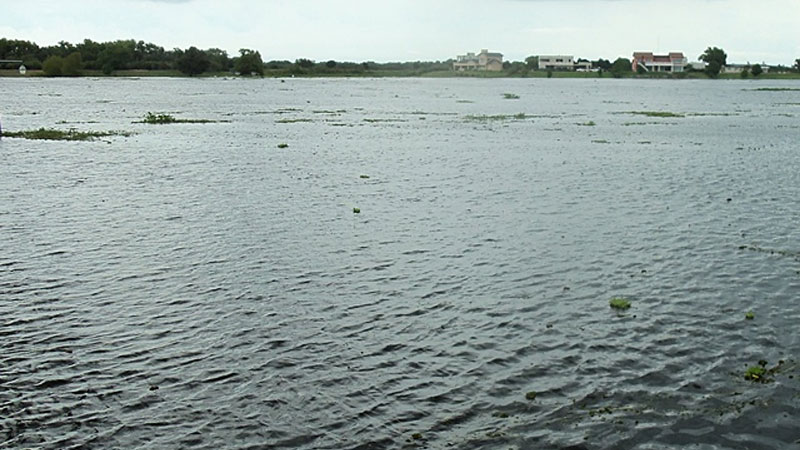 La llegada de los camalotes a Victoria