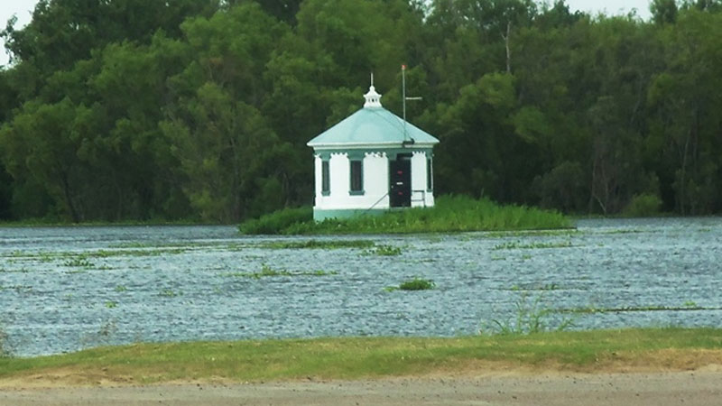 El pozo toma rodeado de vegetaci&oacute;n acu&aacute;tica