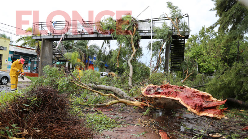 Avenida Zanni y Medus, frente a la escuela Las Heras