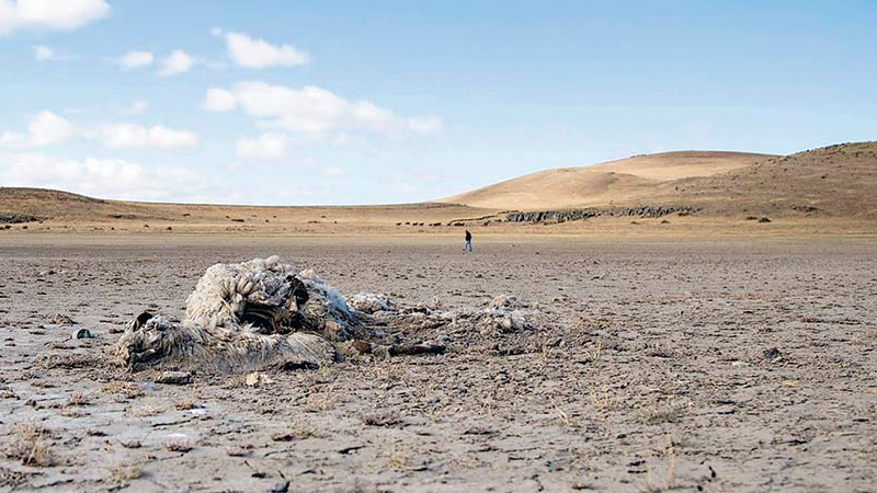 El norte de la Patagonia padece una de las peores sequías en 60 años