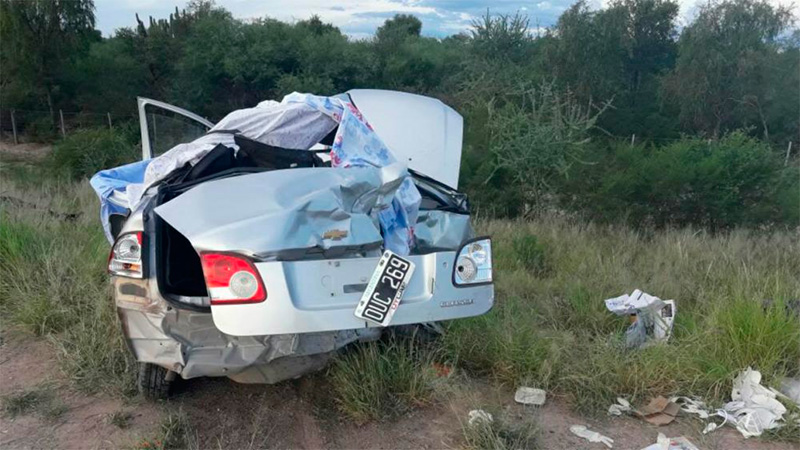 Cinco integrantes de una familia murieron al chocar su auto con un ...