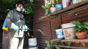 Dengue: Se confirmó un nuevo fallecimiento en Santa Fe