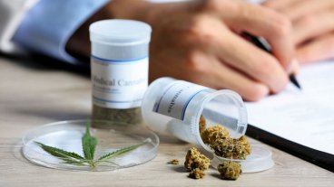 El Gobierno reglamentó parcialmente la ley de cannabis medicinal