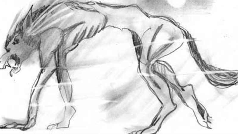 Ins&oacute;lita coincidencia por la Derogaci&oacute;n de la "Ley del Lobiz&oacute;n".