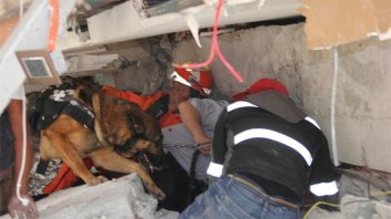 En Vivo: Trabajan para rescatar niña atrapada bajo los escombros en México