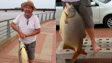 Encarnó con cuero de pollo y pescó un pacú de 29 kilos en el río Paraná