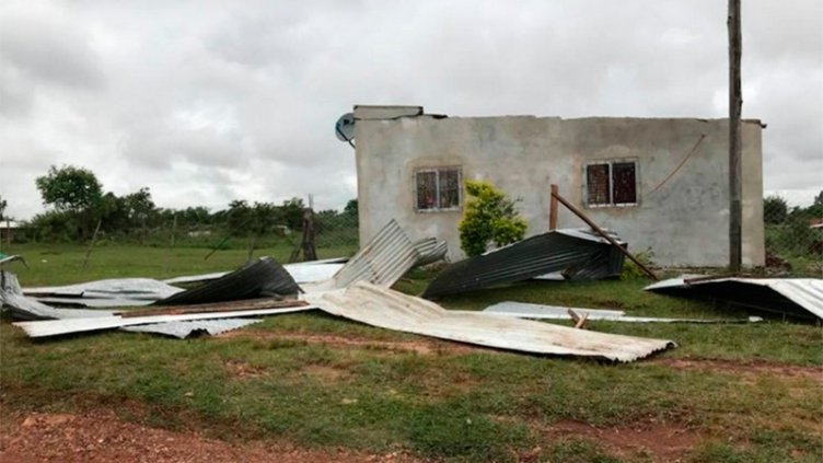 Fotos: Caída de árboles y voladuras de techos por temporal en Corrientes