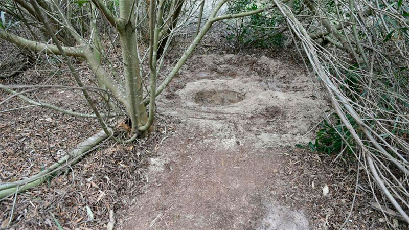 El lugar donde fue encontrado el cuerpo de la niña de 12 años