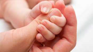 La trama de la venta de bebés en Misiones: