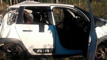 Despistaron con el auto al chocar a un perro: Una pareja y su hija están graves