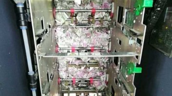 Ratas se comieron 18 mil dólares de un cajero automático