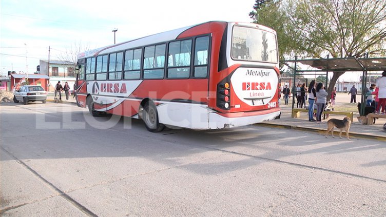 Diez noches sin colectivos: Evalúan sancionar a empresas de transporte