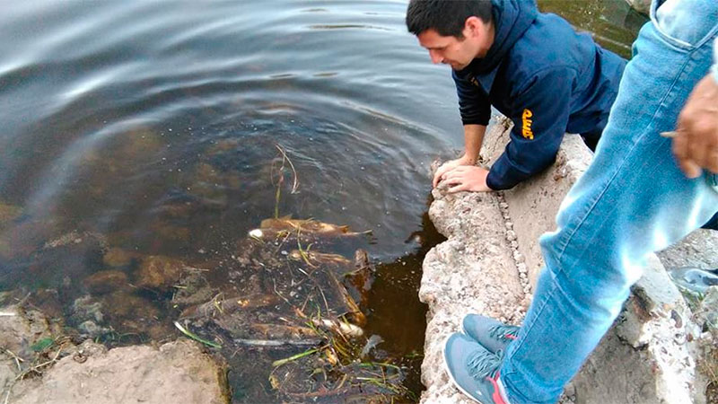La mortandad de peces en Las Cuevas.