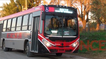 Transporte urbano: se levantó el paro y se restableció el servicio nocturno