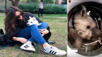 Amenazaron de muerte a joven entrerriana que metió su perrito al lavarropas