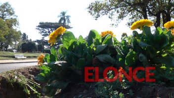 La primavera arrancará con todo: Se espera buen clima y calorcito