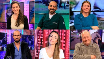 Mascotas: ¿practicamos la tenencia responsable?