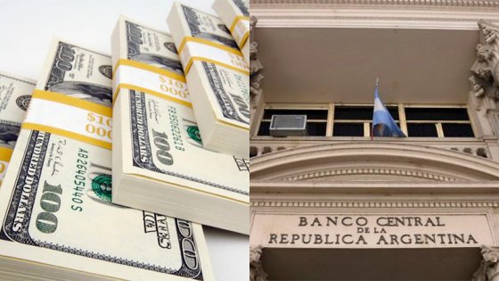 El Banco Central compró u$s 457 millones en la primera semana del Dólar Soja 2