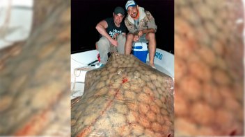Imágenes: Pescaron una raya de 130 kilos en el río Paraná y la devolvieron