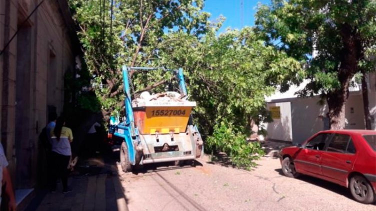 Video: Un camión con volquete subió a la vereda y chocó contra un árbol