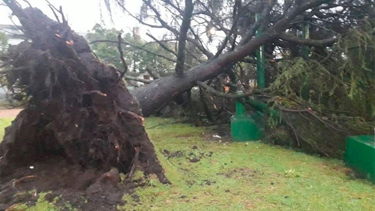 Una tremenda tormenta azotó Basavilbaso: Impresionantes imágenes