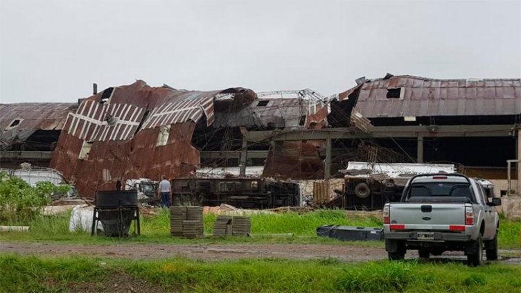 Fotos: El temporal provocó destrozos en la ciudad cordobesa de San Francisco