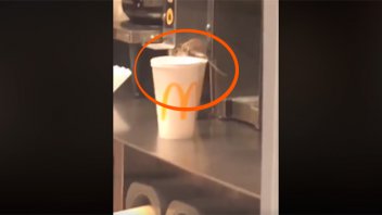 Clausuraron un McDonalds por presencia de cucarachas y ratas