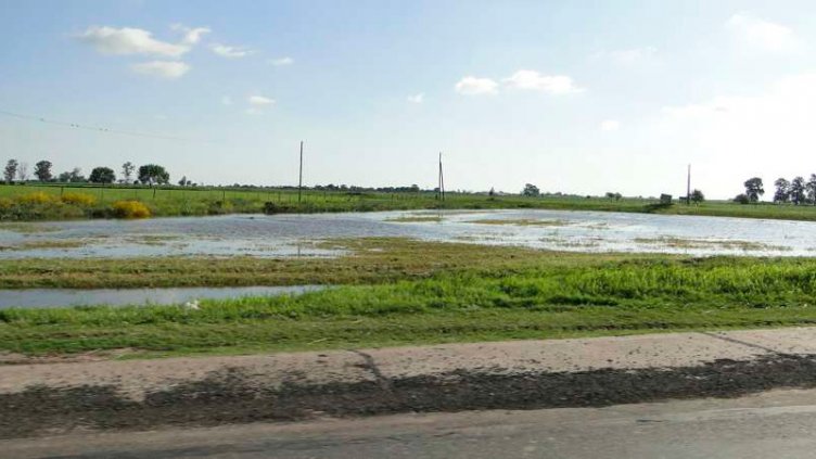 La cosecha de granos aportaría US$ 28.000 millones pese al exceso de lluvias