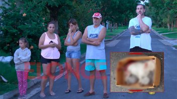 Preocupa a vecinos un Pitbull que mató a dos perros