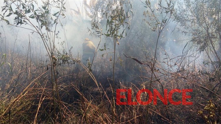 Bomberos Voluntarios sofocaron un incendio de pastizales en el sur de la ciudad