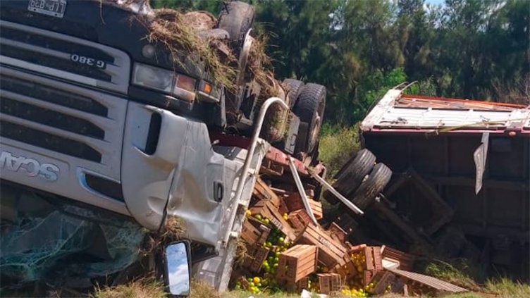 Camión cargado con cítricos volcó en la Autovía 14 tras reventar un neumático