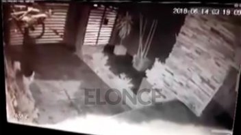 Video: Ingresa a una casa en Paraná y se roba una bicicleta en 50 segundos