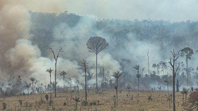 Peligra el acuerdo UE-Mercosur por los incendios en el Amazonas: Los motivos