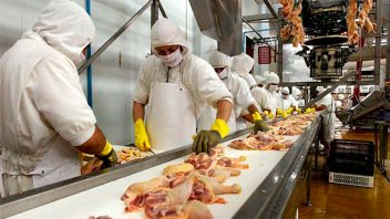 Suba salarial de 71% trimestral para el sector avícola de la carne