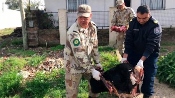 Suspendieron la fiesta de 15 porque el asado era de una vaquilla robada