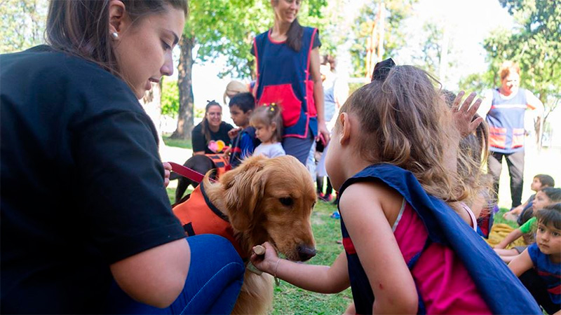 Entrenan a perros rescatados para ayudar a personas con autismo.