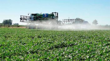 Gobierno anunció que bajarán los aranceles para la importación de herbicidas