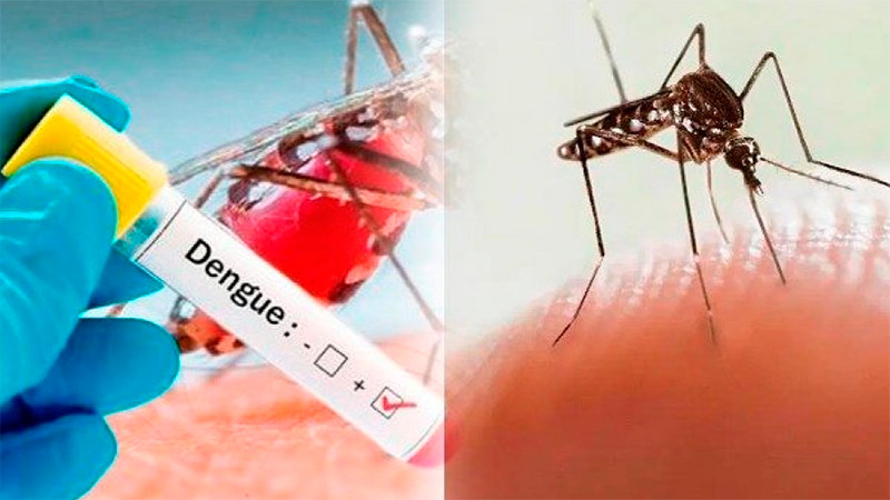 Dengue: revelan quiénes tienen más chances de contagiarse por segunda vez