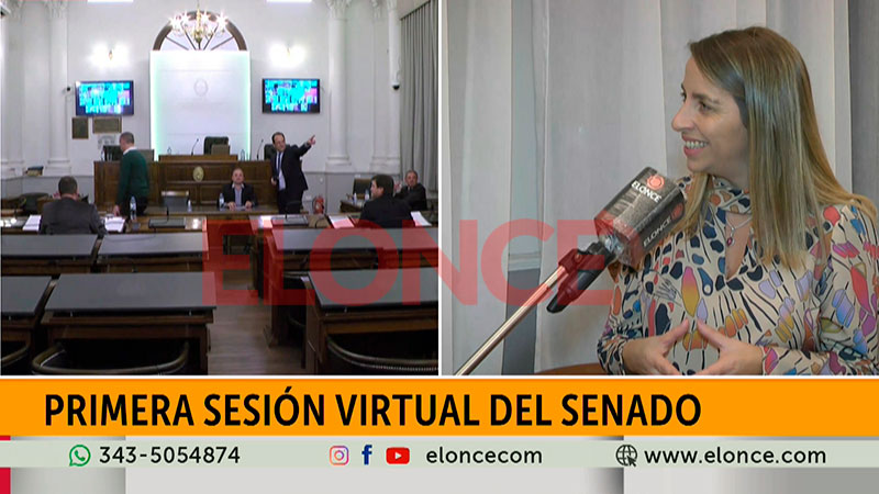 Por primera vez, el Senado entrerriano sesionó por videoconferencia