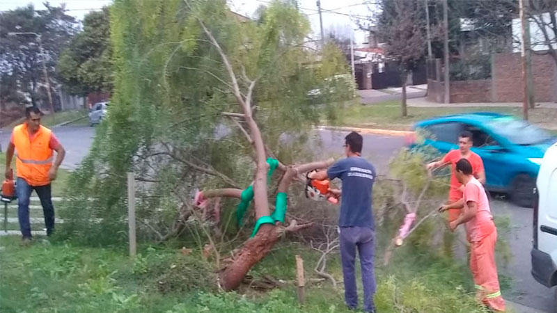 Trabajadores municiapales