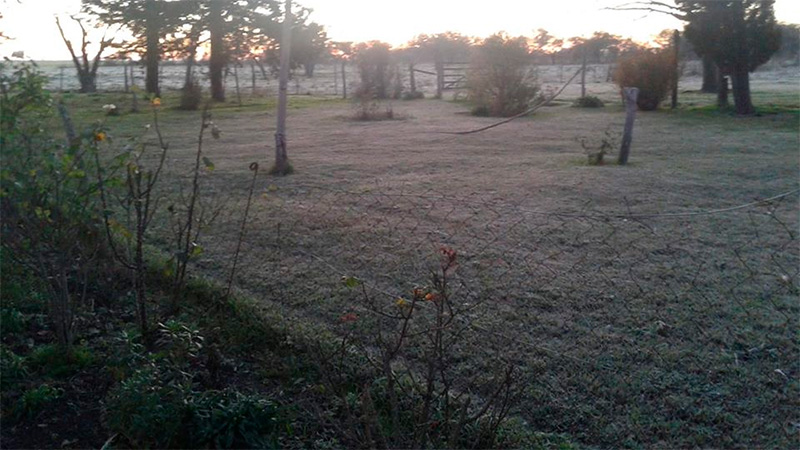 Imagen ilustrativa de la helada.