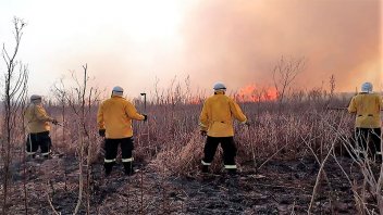 Brigadistas trabajan para apagar incendios en el Delta