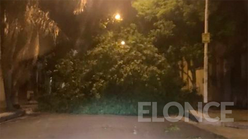 Árboles caídos en calles México y Santiago del Estero.-
