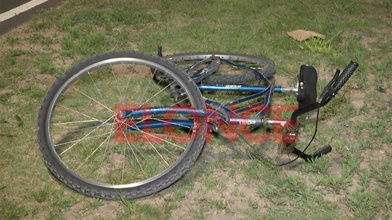 La bicicleta que llevaba el otro peatón quedó tirada en el lugar